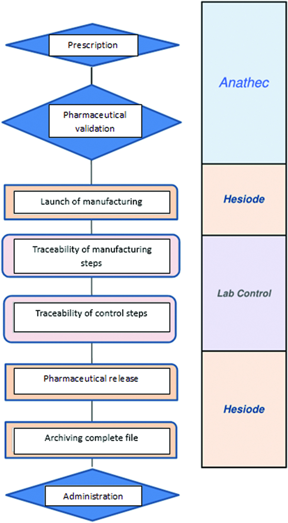 Figure 1: Circuit of intrathecal preparations.