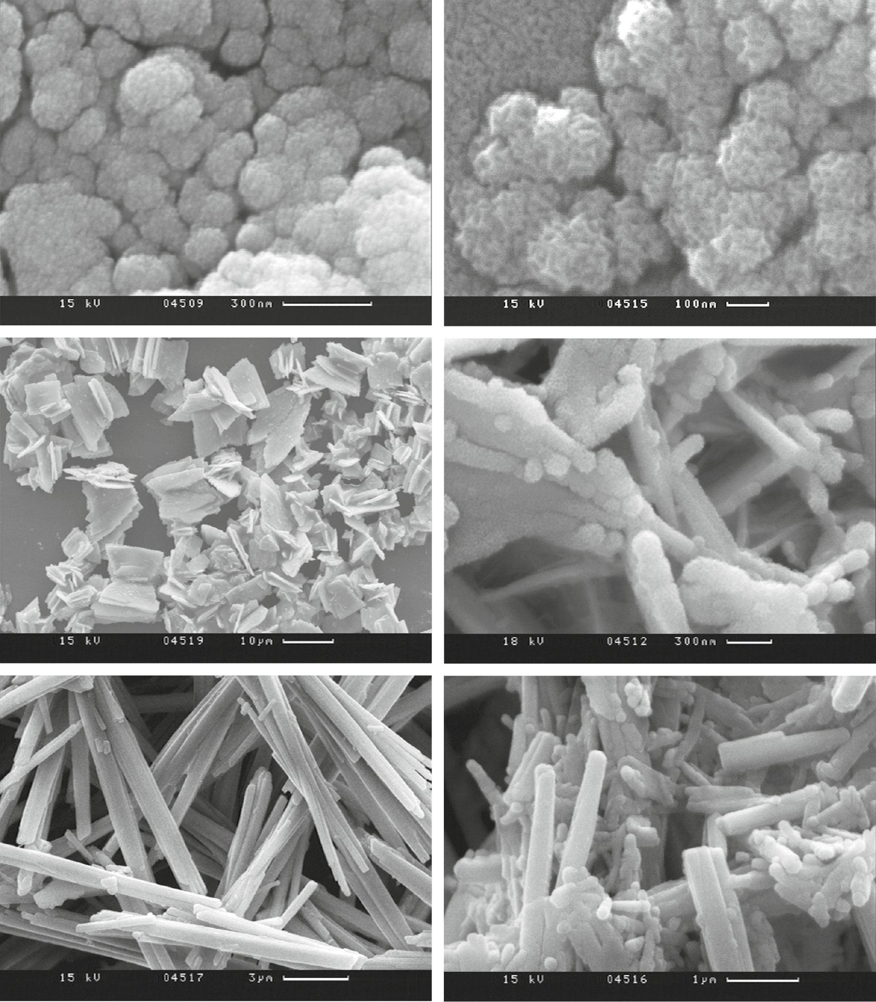Figure 4: SEM images of the Np(V) solid phases controlling the solubility in NaCl solutions. Upper line: green solids (samples 2 and 8, respectively); middle line: white solids (samples 6 and 12); bottom line: violet-pink solids (samples 7 and 13).