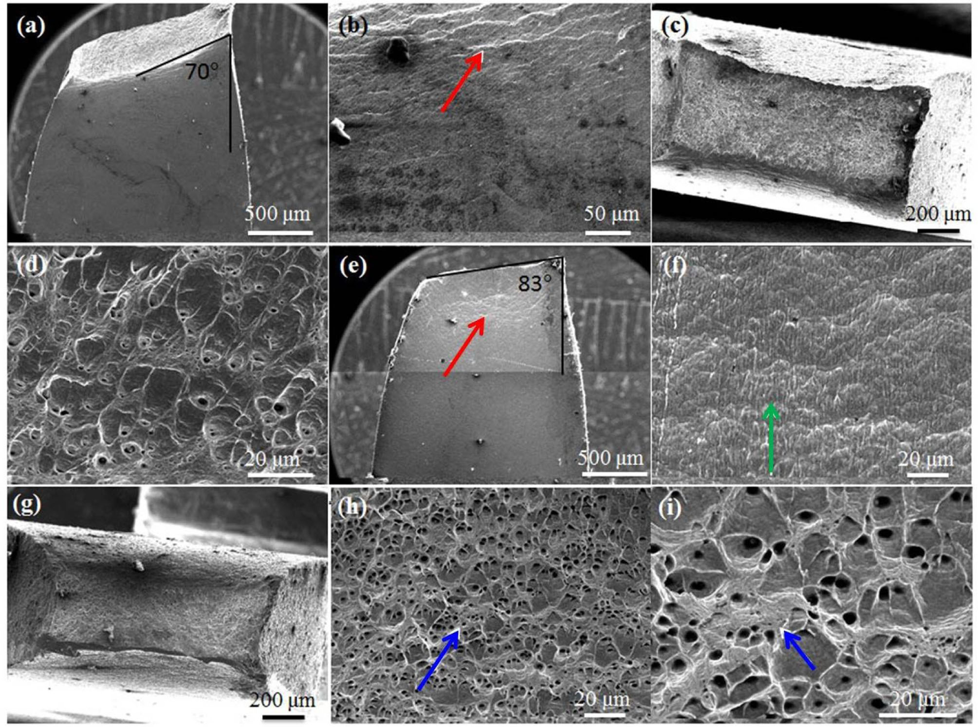 Figure 3 (a) The cross-section of as-ECAPed Cu after fracture; (b) the zoom-in view of location near necking part in Figure 3(a), deformed micro-bands parallel to fracture edge was pointed out by red arrow; (c) the fracture surface of as-ECAPed Cu; (d) the zoom-in view of location in Figure 3(c); (e) the cross-section of bimodal Cu after fracture, deformed micro-bands in horizontal direction were pointed by red arrow; (f) the zoom-in view of Figure 3(e), elongated recrystallized micro-grains in vertical direction were pointed out by green arrow; (g) the fracture surface of bimodal Cu; (h) the zoom-in view of Figure 3(g), small sub-micro-dimples formed from the UFG regions were pointed out by blue arrow; (i) the zoom-in view of Figure 3(h), small sub-micro-dimples formed from the UFG regions were pointed out by blue arrow.