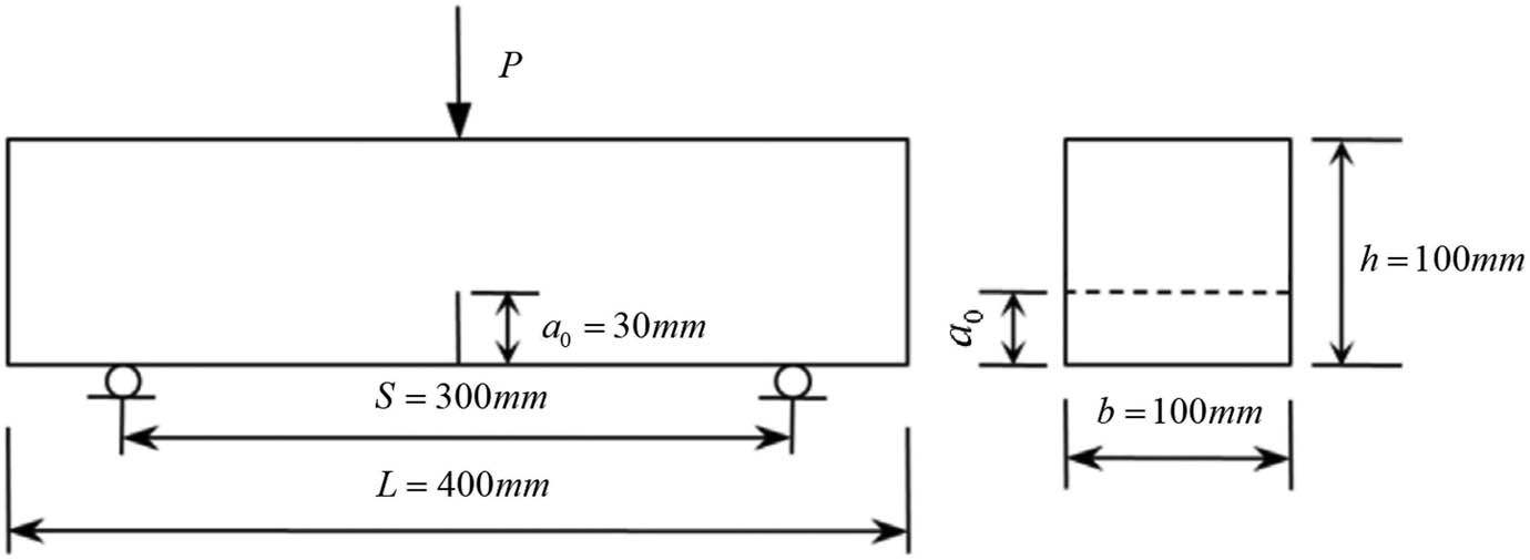 Figure 4 
                  Shape of the specimen.
               