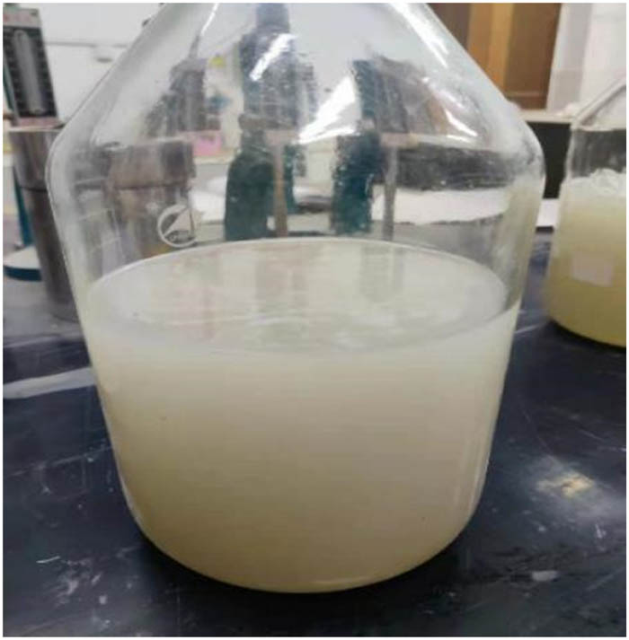 Figure 2
Alkali activator solution.