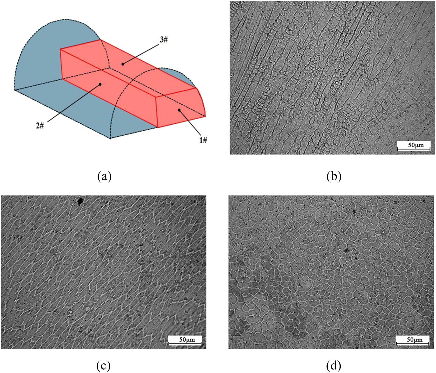 Figure 10
Microstructure of single-pass cladding layer on different observation surfaces: (a) sampling diagram; (b) observation surface #1; (c) observation surface #2; and (d) observation surface #3.