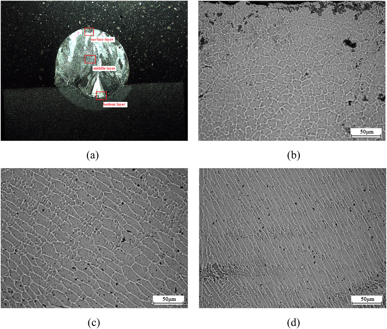 Figure 12
Microstructure of single-pass cladding layer on Observation surface #1: (a) macro image; (b) surface layer; (c) middle layer; and (d) bottom layer.