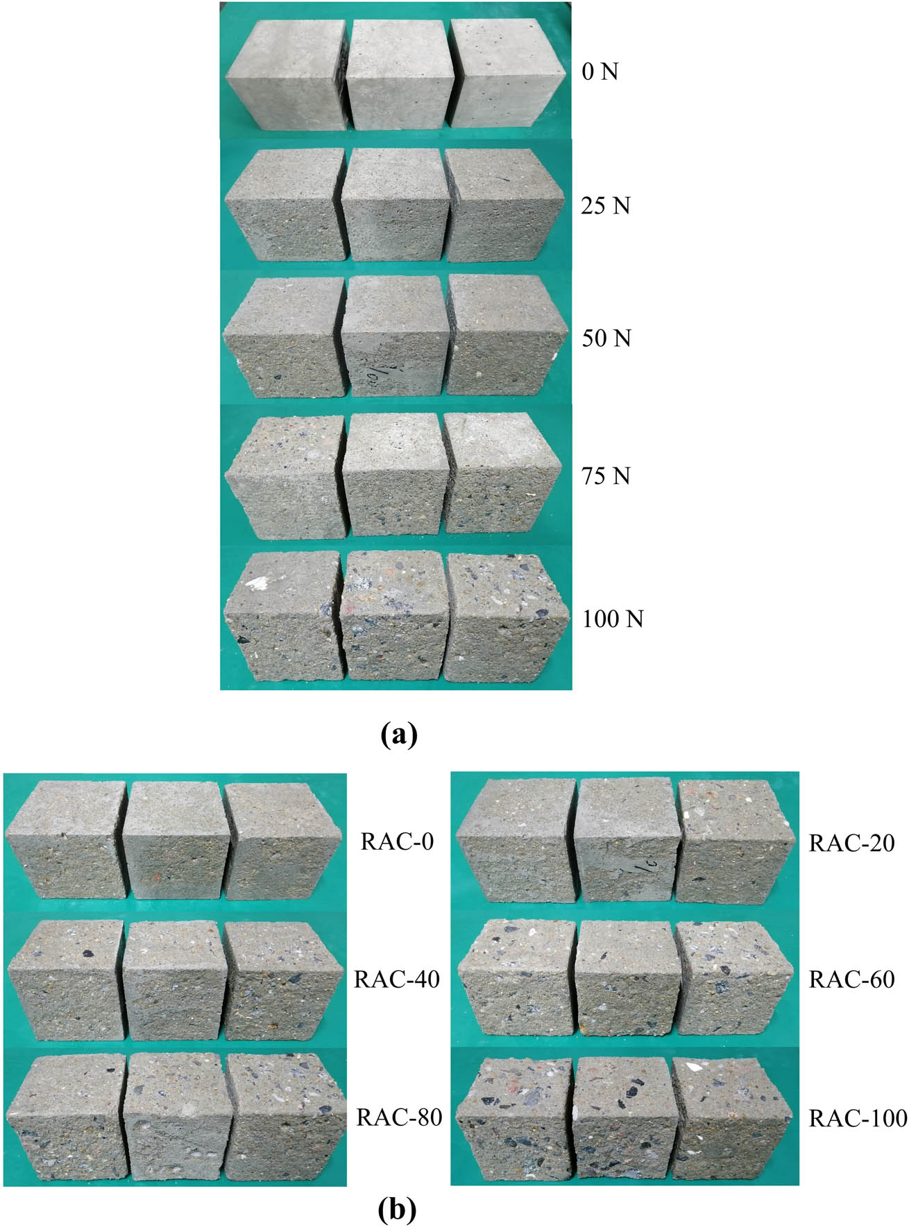 Figure 4 
                     Damage morphology of specimens after salt-frost cycles: (a) RAC-60 and (b) 100N.
                  