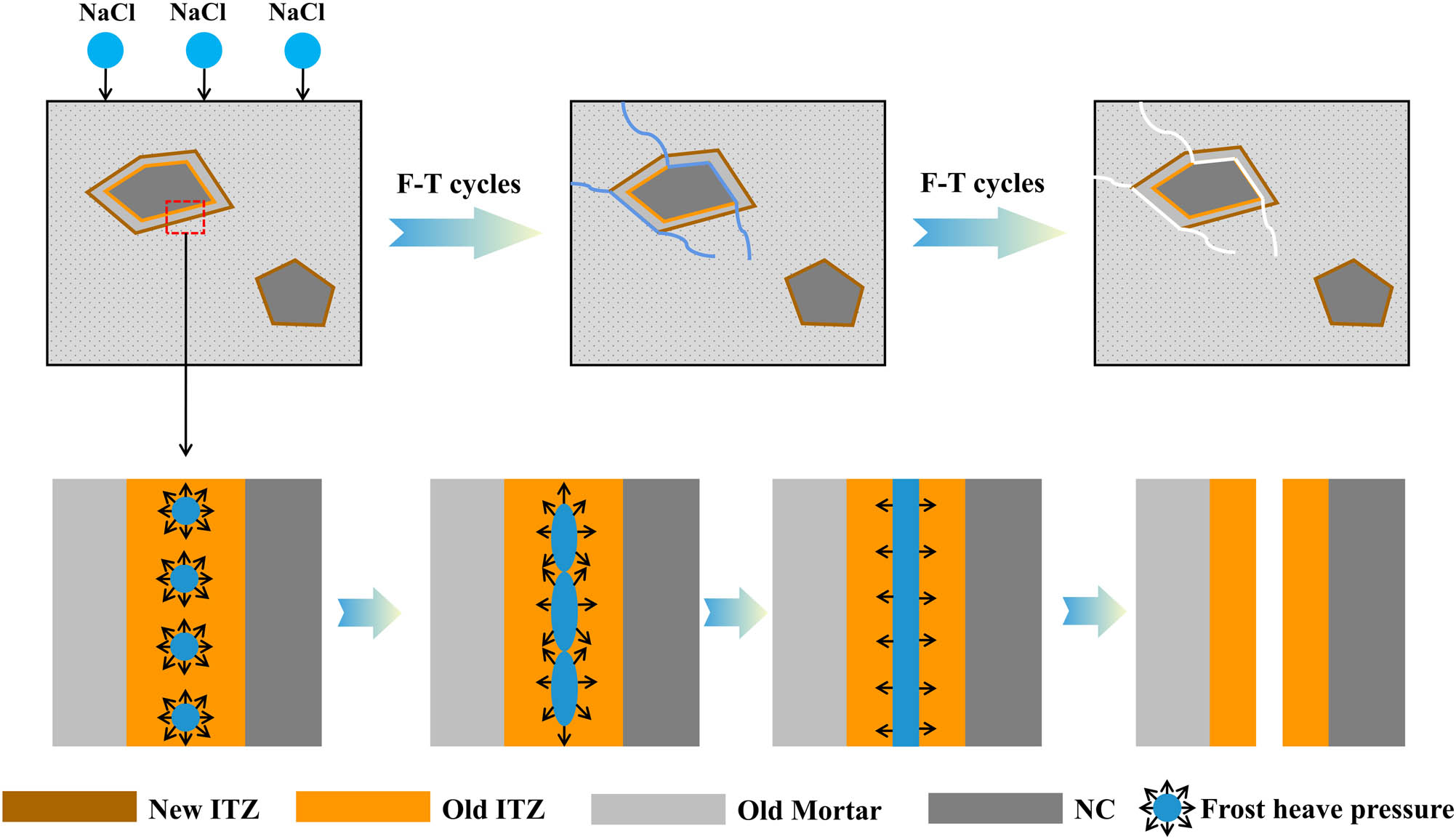 Figure 11 
                     Damage mechanism of salt-frost cycles on RAC.
                  