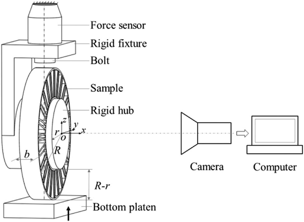 Figure 3
Diagram of quasi-static uniaxial compression experiment.