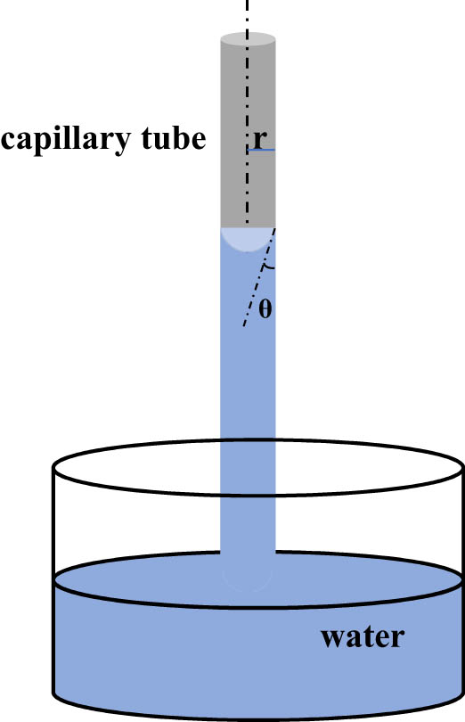 Figure 3
The schematic diagram of capillary force measurements.