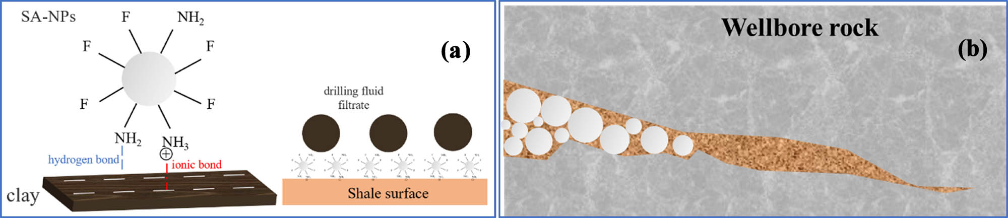 Figure 13
The mechanism of using SA-NPs to improve shale stability. Adsorption and wetting characteristics of SA-NPs on the shale surface (a) and plugging function of SA-NPs (b).
