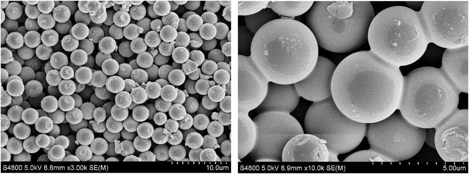 Figure 6
The scanning electron microscopy image of nano-SiO2@OBQA (left: 3,000×; right: 10,000×).