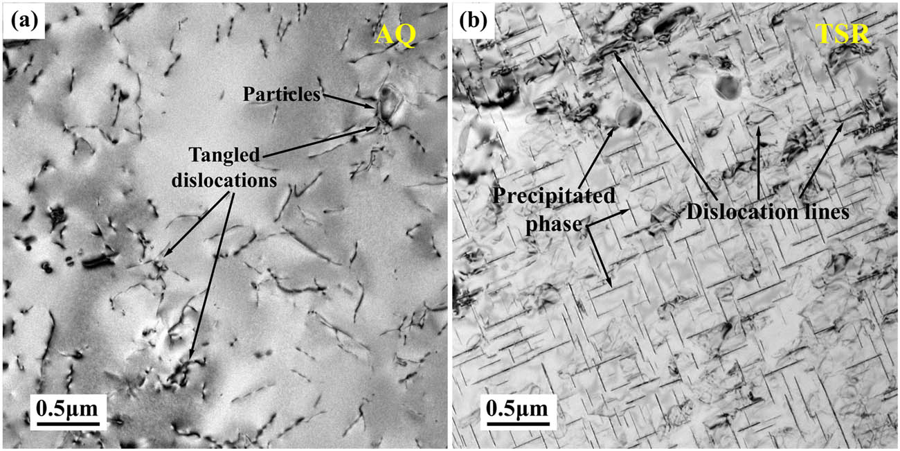 Figure 7
TEM images of dislocation characteristics: (a) AQ piece and (b) TSR piece.