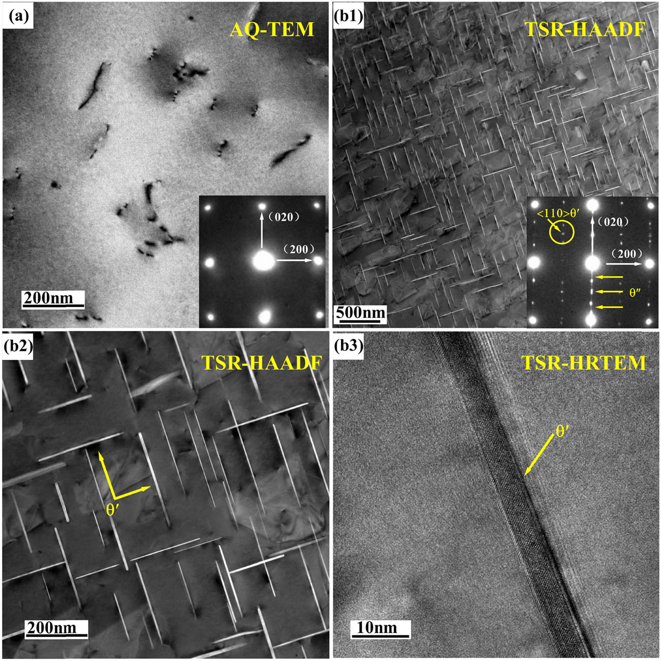 Figure 8
TEM/STEM images and corresponding SAED patterns of precipitated phase characteristics: (a) AQ piece and (b1–b3) TSR piece.