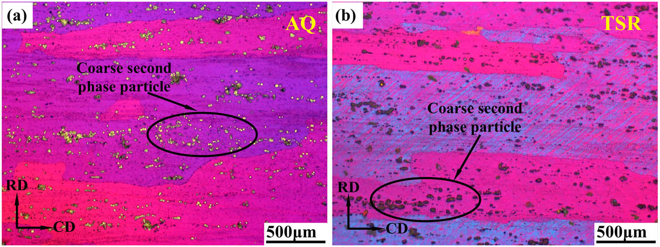 Figure 9
OM images of grain structures and coarse second-phase particles: (a) AQ piece and (b) TSR piece.