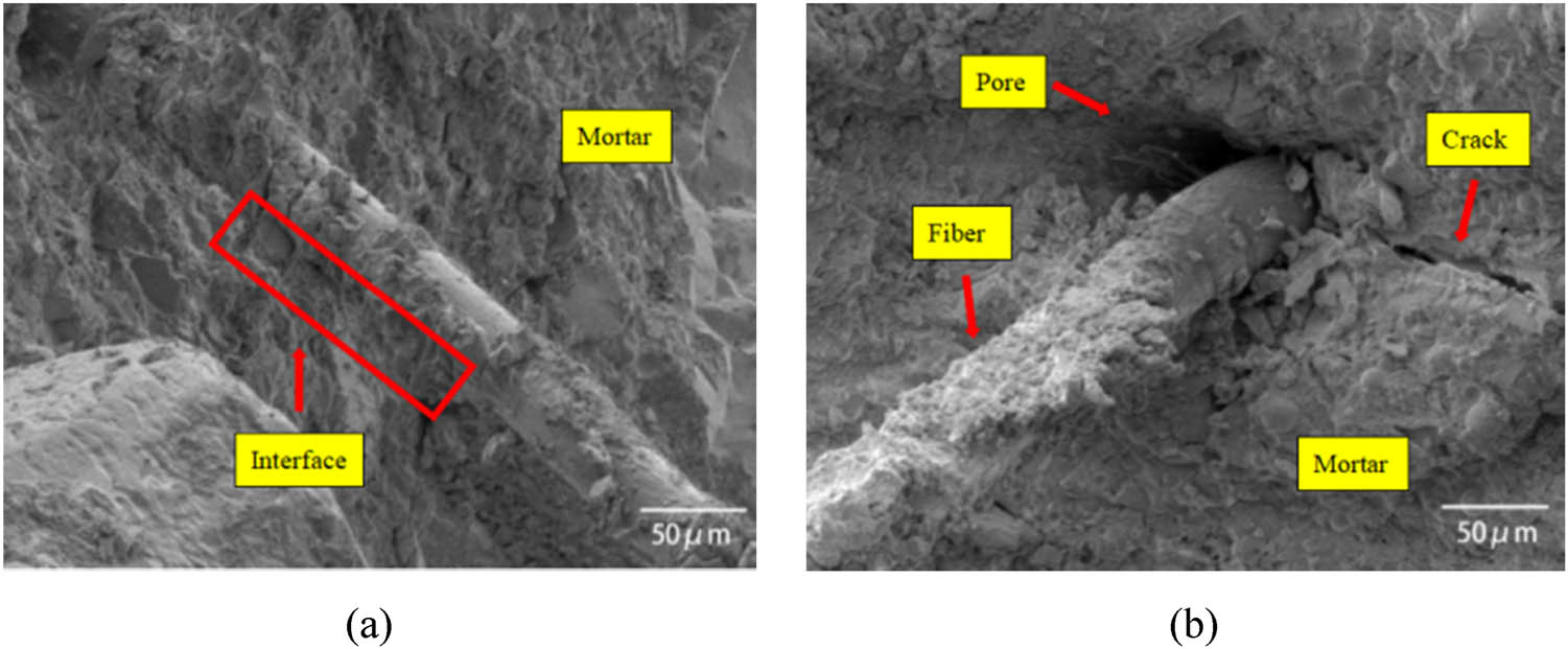 Figure 10 
                     The SEM images of PVA fiber in B2 specimen. (a) Fiber surface and (b) fiber port.
                  