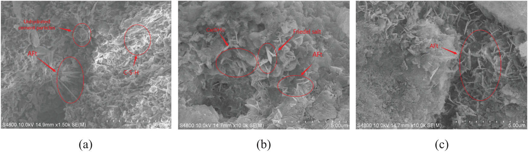 Figure 3
Microscopic morphology of concrete after freeze–thaw cycles: (a) 0 freeze–thaw cycles, (b) 200 freeze–thaw cycles in the chlorine solution, and (c) 200 freeze–thaw cycles in the sulfate solution.