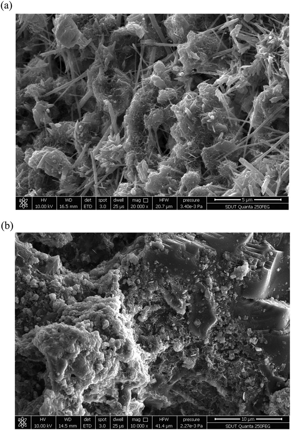 Figure 10
Morphology of RBC. (a) Morphology of AFt and (b)Morphology of C–S–H.