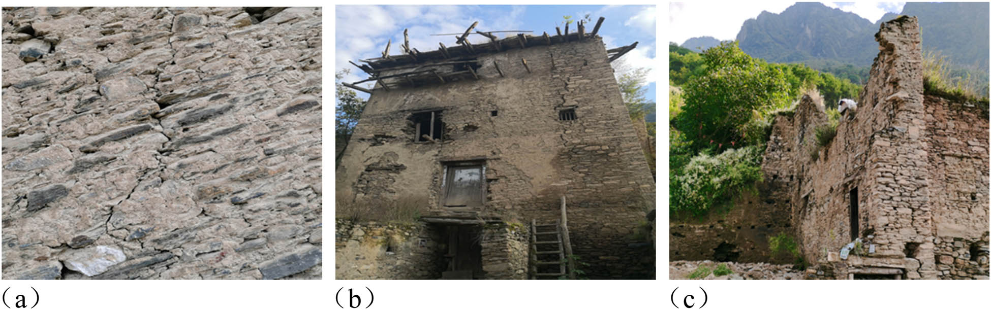 Figure 2
Disease status of Qiang village wall (taken by author): (a) wall cracks; (b) wall surface soil falling off; and (c) wall collapse.