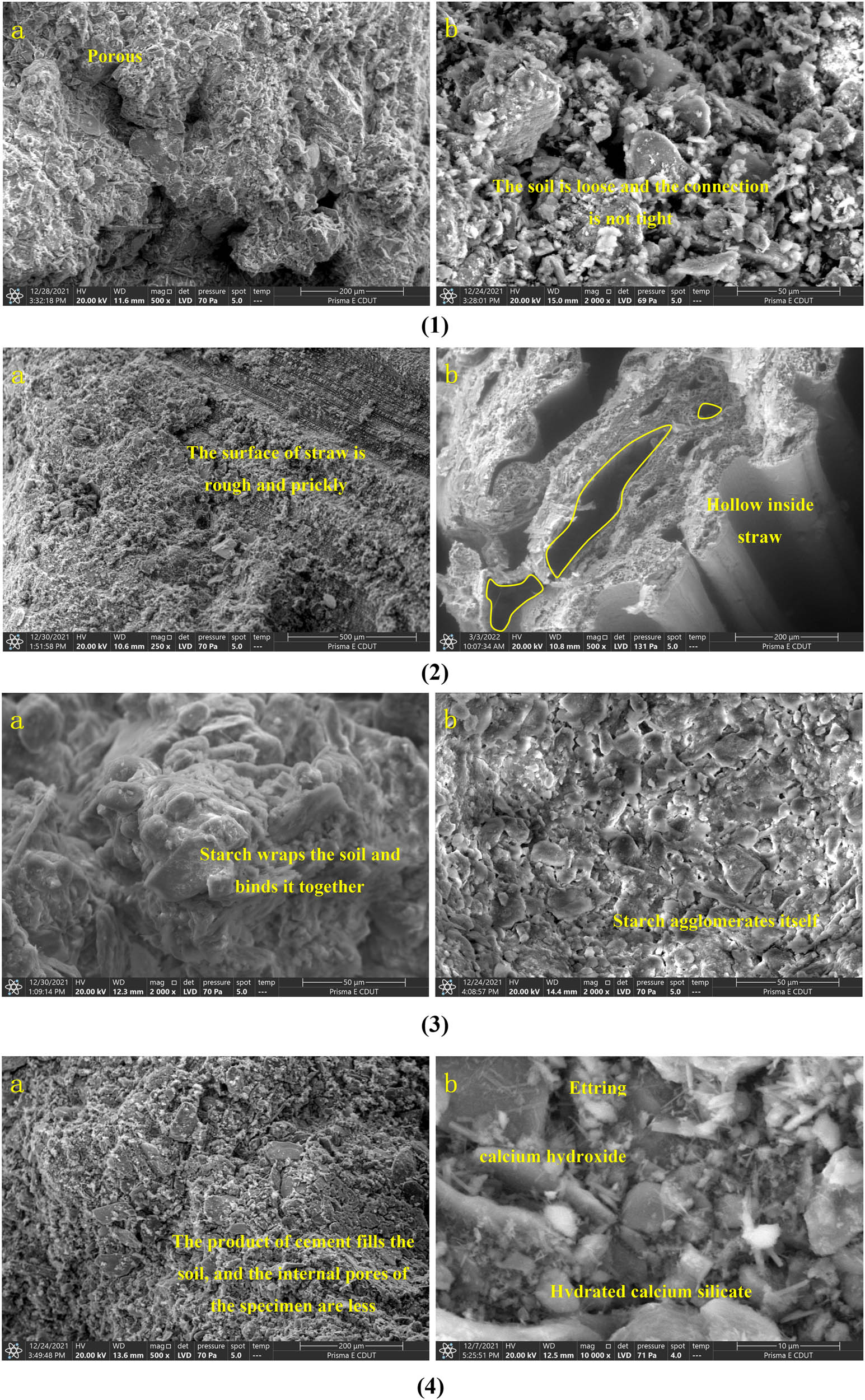 Figure 20
SEM images of specimens with different materials: (1) SEM of pure yellow mud; (2) SEM of straw-improved yellow mud; (3) SEM of starch-modified yellow mud; (4) SEM of cement-modified yellow mud; and (5) SEM of epoxy resin-modified yellow mud.