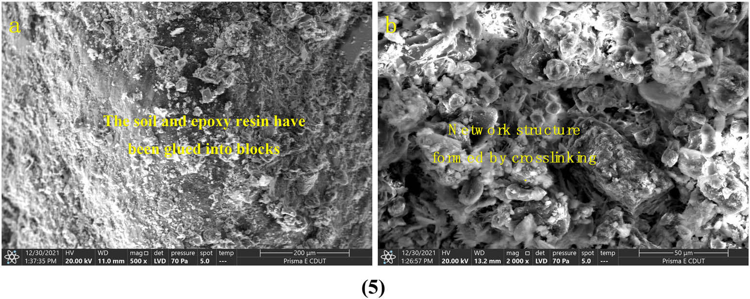 Figure 20
SEM images of specimens with different materials: (1) SEM of pure yellow mud; (2) SEM of straw-improved yellow mud; (3) SEM of starch-modified yellow mud; (4) SEM of cement-modified yellow mud; and (5) SEM of epoxy resin-modified yellow mud.