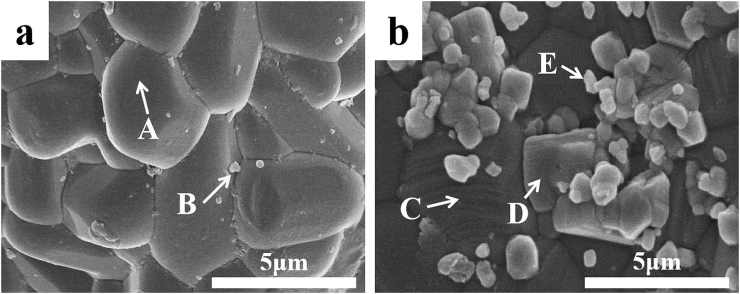 Figure 2
SEM images of Cr3C2–NiCr powders: (a) CP and (b) MP.