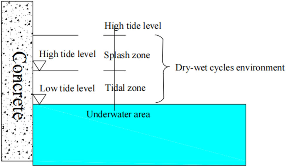 Figure 6 
                  Schematic diagram of marine concrete service environment.
               