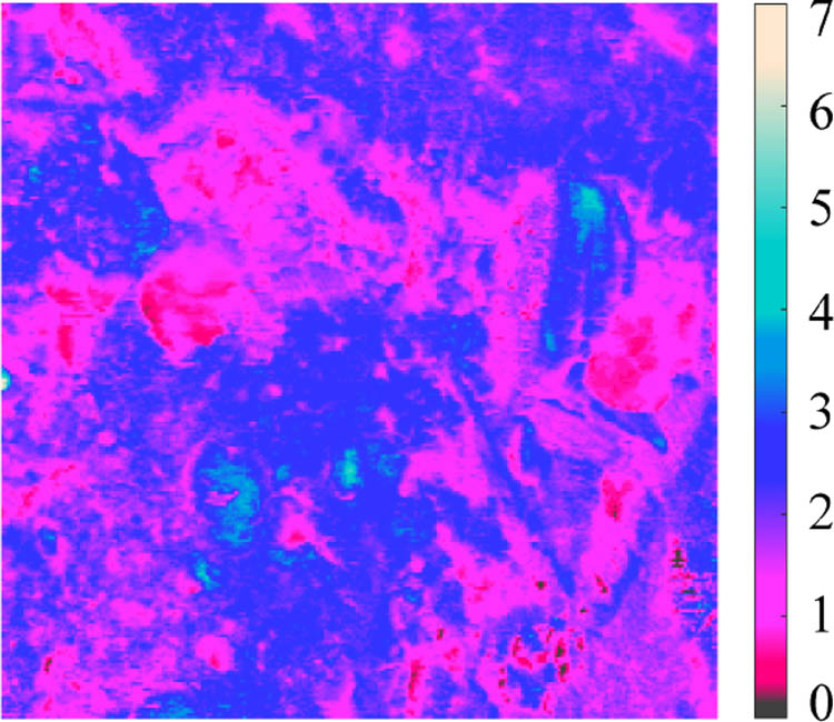 Figure 10
A map of the nanoscale pull-off force between GO-enhanced cement and diamond indenter (×10−7 N). This region is the one presented in Figure 5(e).