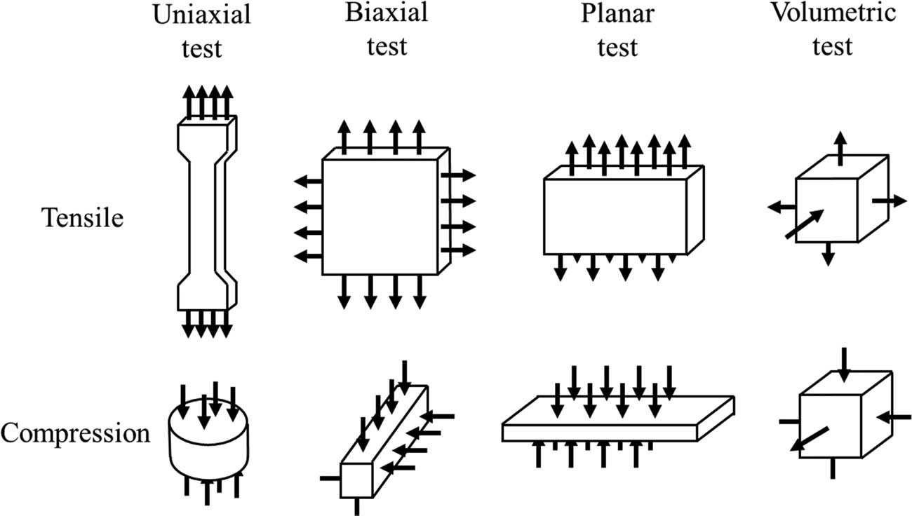 Figure 2
Static mechanical test of rubber material.