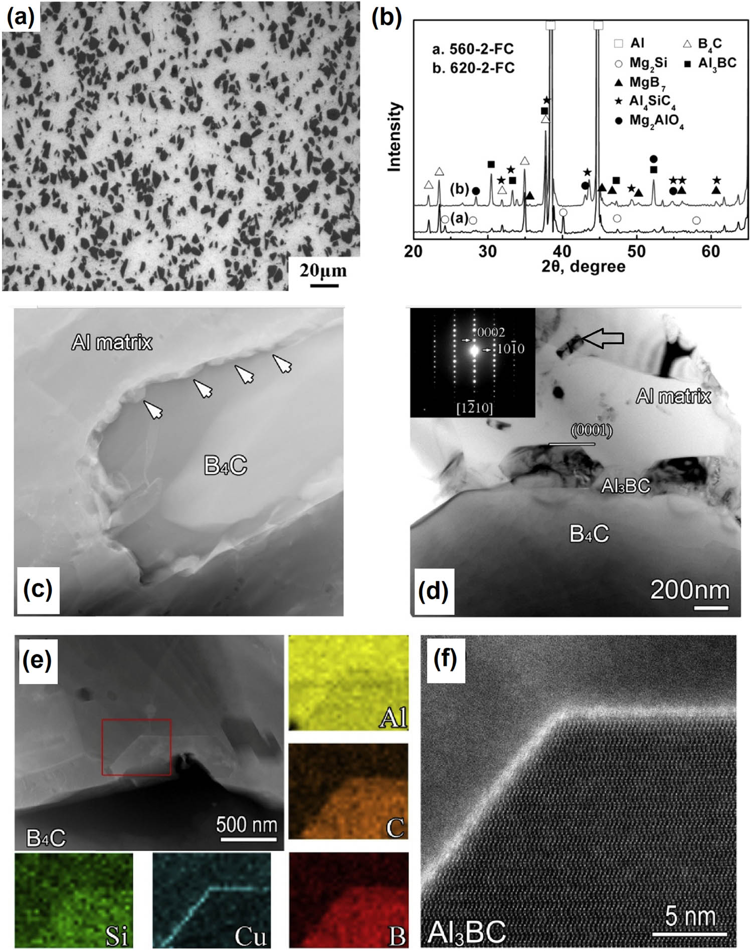 Figure 8 
                     (a) OM image of an Al–1.0 Mg–0.65 Si–0.25 Cu (wt%) alloy reinforced with 20 wt% of B4C. (Reproduced with permission from [150].) (b) XRD diffractograms of this composite under different processing variables. (Reproduced with permission from [150].) (c) HAADF-STEM image of the B4C reinforcement surrounded by reaction products. (d) TEM image of the Al3BC nanoparticles at the interface Al/B4C (SAED pattern inserted). (e) HAADF-STEM image for the analysis of the Al3BC/matrix interface. EDS mappings show the elements distribution. (f) High-resolution HAADF image of the Al3BC particle, surrounded by a 0.7 nm Cu layer ((c)–(f) Reproduced with permission from [152].).
                  