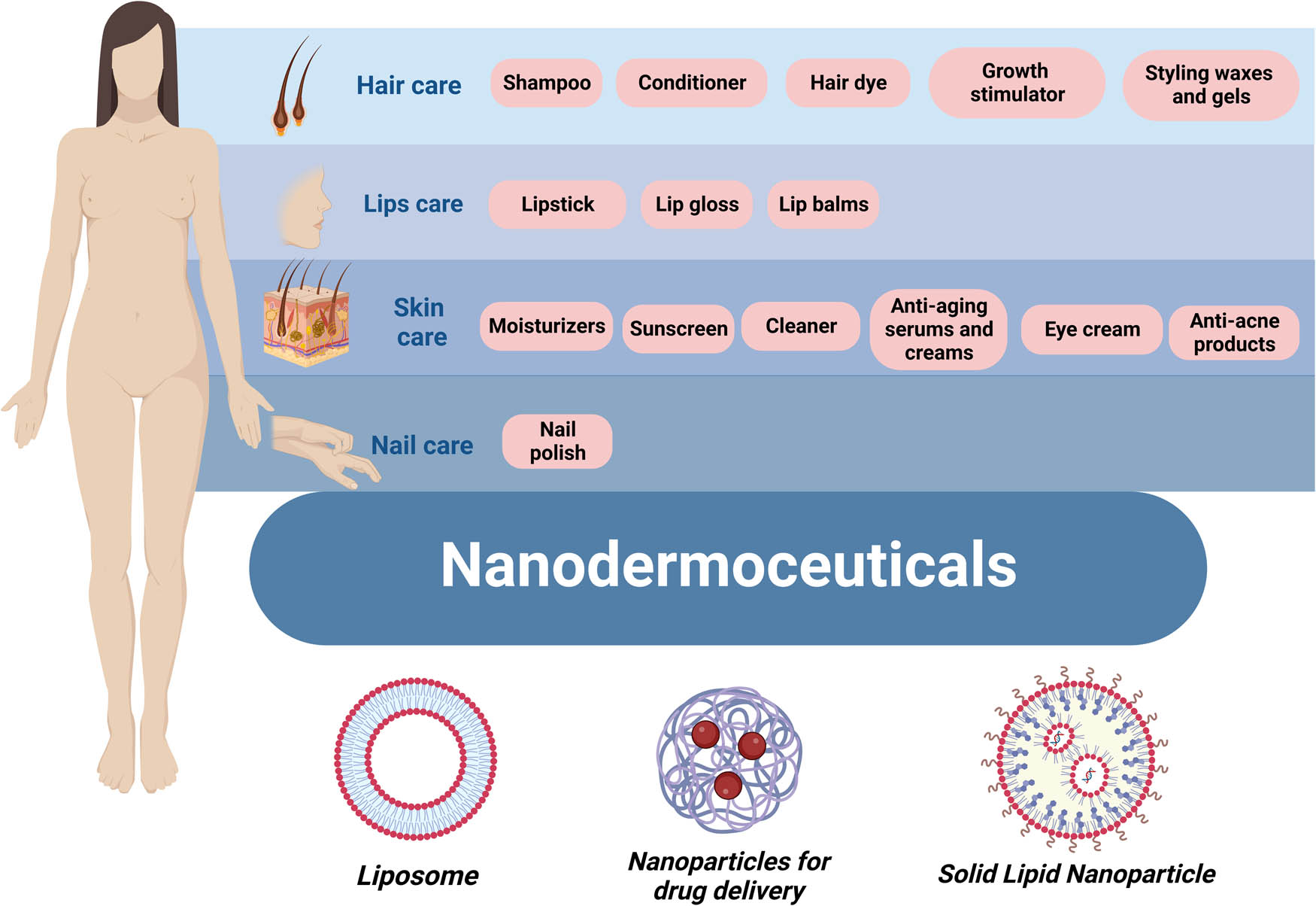 Figure 1 
               Main nanodermoceutics (created by BioRender.com [15]).
            