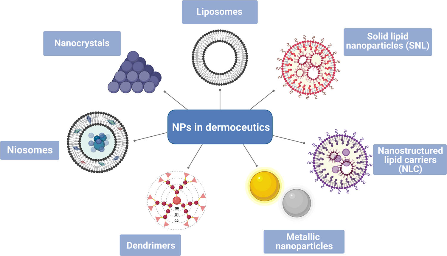 Figure 3
NPs used in developing dermoceutics. Created by BioRender.com.