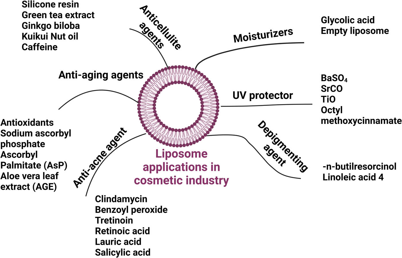 Figure 5
Liposome applications in the cosmeceutical industry. Created with BioRender.com.