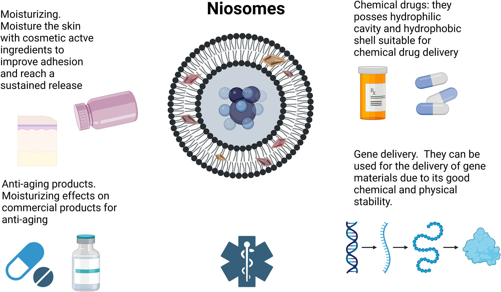 Figure 9
Niosomes applications. Created with BioRender.com.
