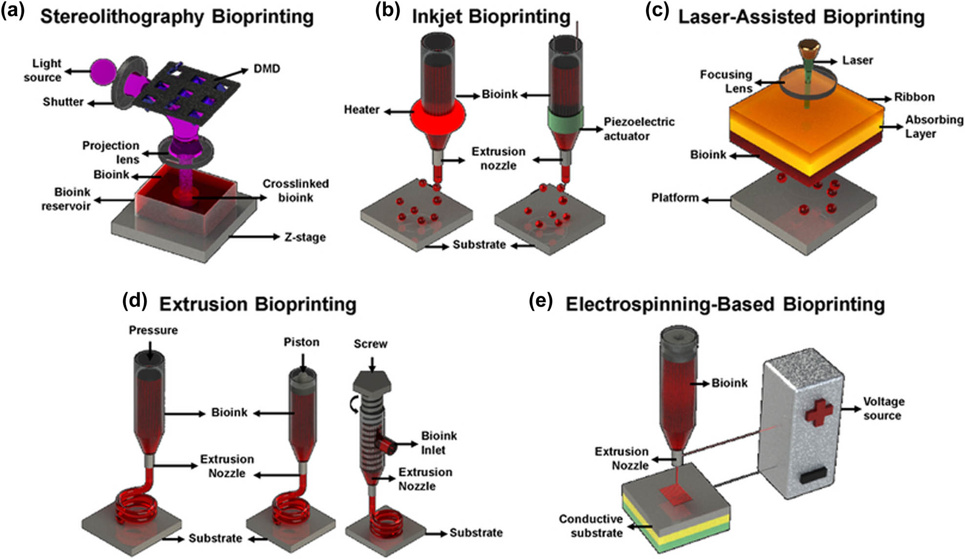 Figure 6 
               Schematic diagram of different 3D bioprinting technologies: (a) SLA-based bioprinting. (b) Inkjet bioprinting with thermal or piezoelectric actuation. (c) Laser-assisted bioprinting. (d) Extrusion-based bioprinting. (e) Electrospinning-based bioprinting. Reproduced with permission from Heinrich et al. [96].
            