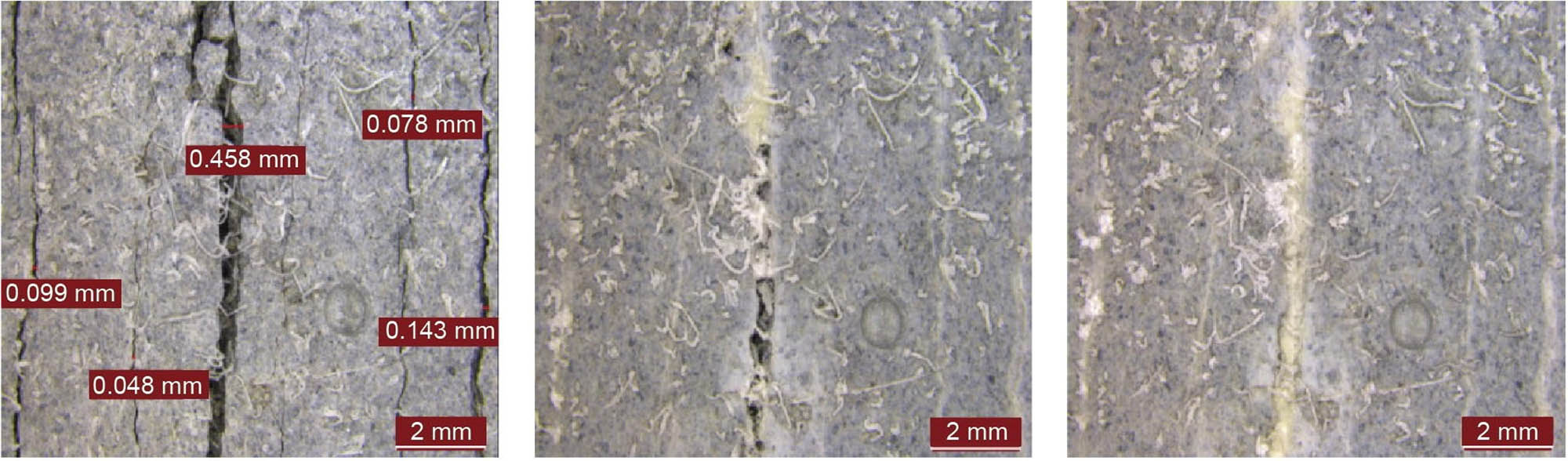 Figure 8 
                  Aged ECC specimens after 1 year exposure [96].
               