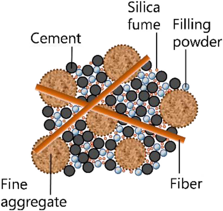 Figure 4 
               Composition of fiber-reinforced UHPC (not to scale) [52].
            