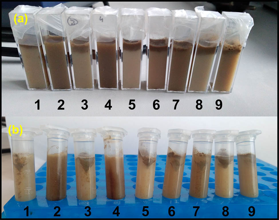 Figure 1
HFD emulsions: (a) after preparation, (b) after centrifugation (numbers 1–9 correspond to HFD 1–9).