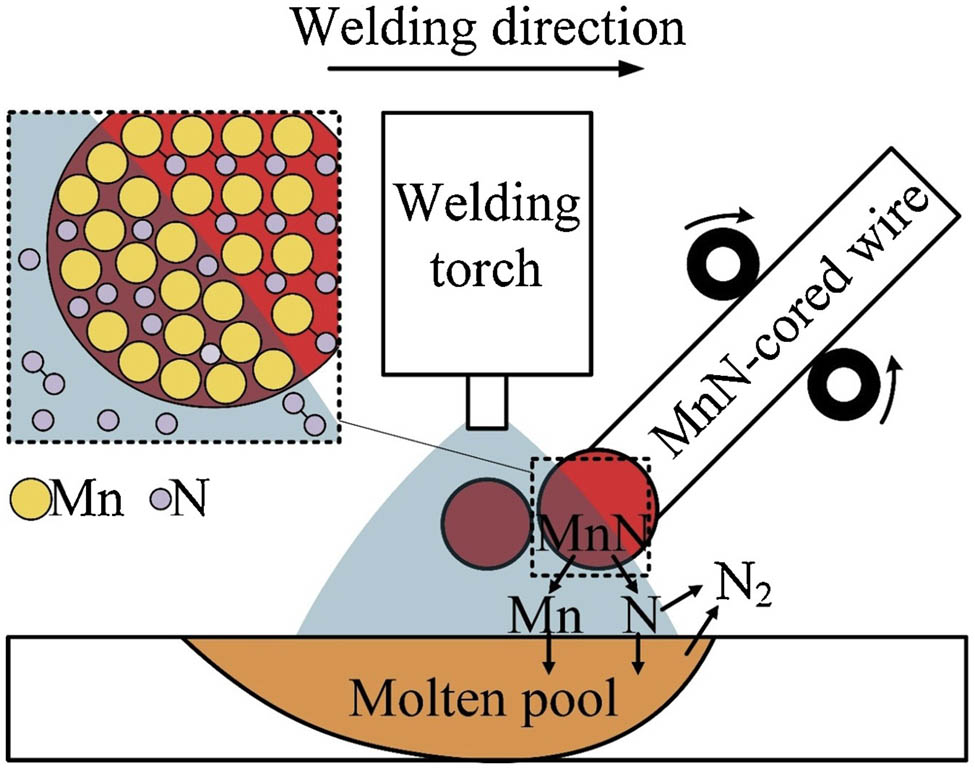 Figure 7 
                     Dissolution behavior of MnN during fusion welding [69].
                  