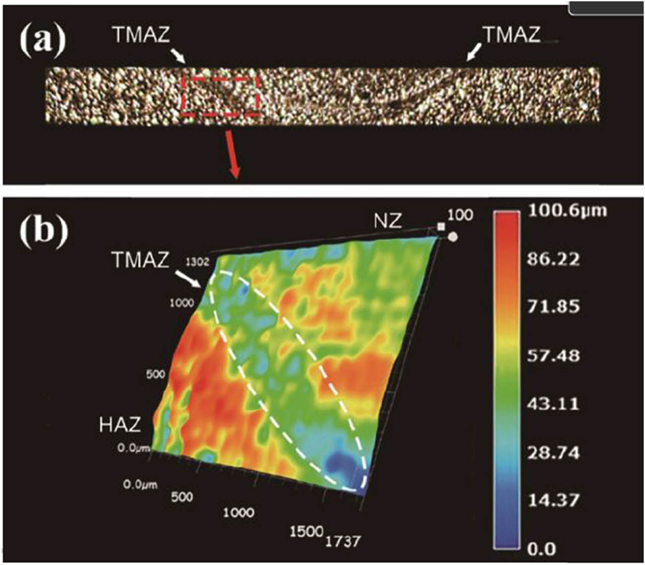 Figure 19 
                  (a) Macroscopic corrosion behavior of FSW HNS joint after intergranular corrosion experiment and (b) surface corrosion morphology near the TMAZ [97].
               
