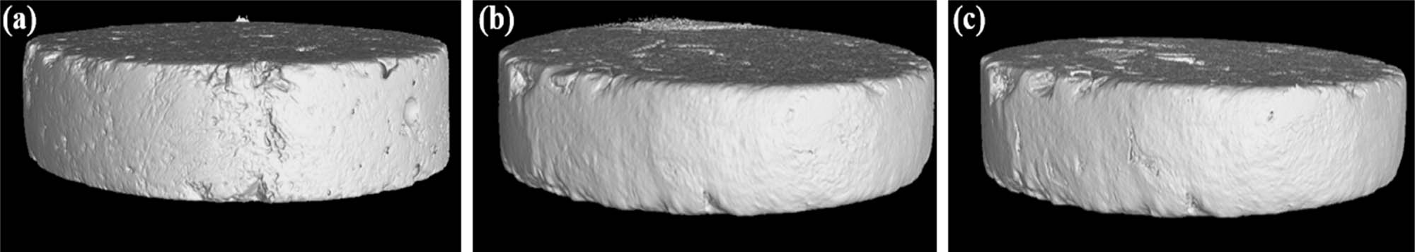 Figure 20
Three-dimensional original images of the CHA-4 group obtained from tomographic data: (a) CHA-4 for 7 days, (b) CHA-4 for 56 days, and (c) CHA-4 for 126 days.