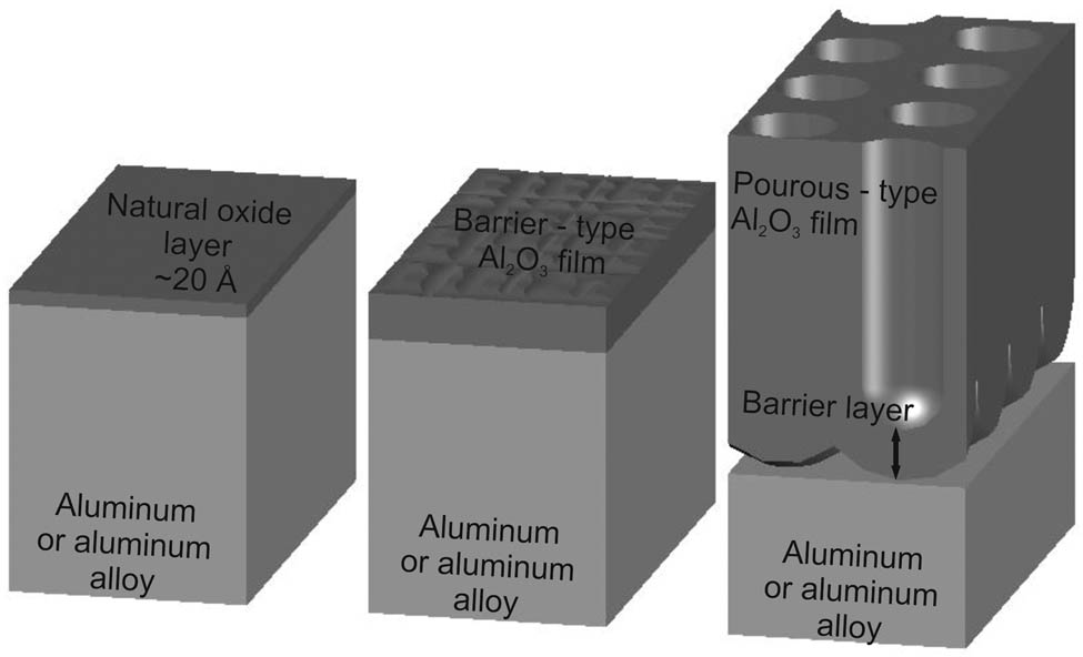 Figure 2 
                  Types of the alumina oxide layer.
               