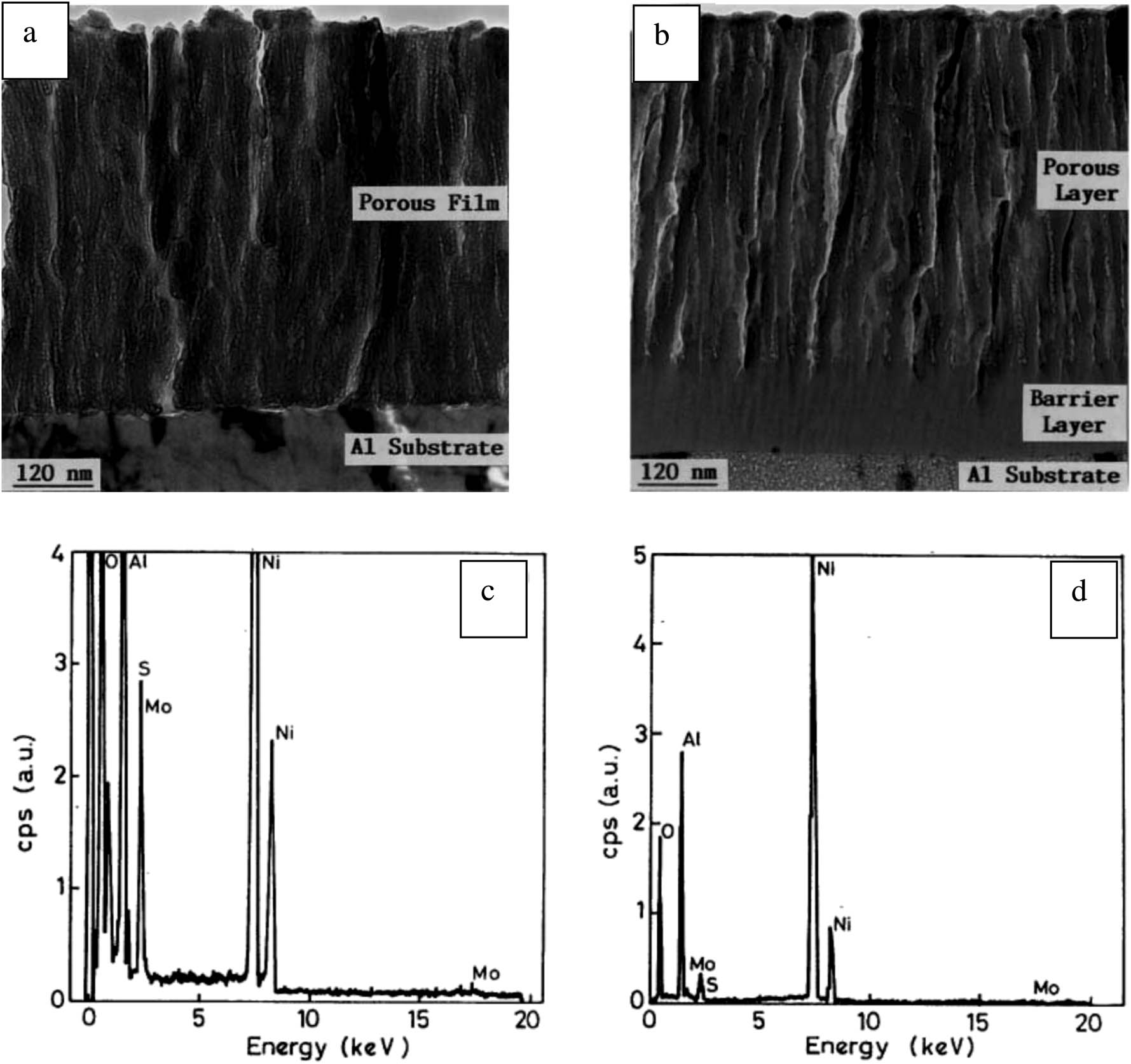 Figure 3 
                  TEM micrograph (a) for an ultra-micro porous film (b) porous film containing incorporated lubricant; EDX spectra for modified oxide of the pore region (c) and pore wall region (d), reprinted from [204] with permission from Elsevier.
               