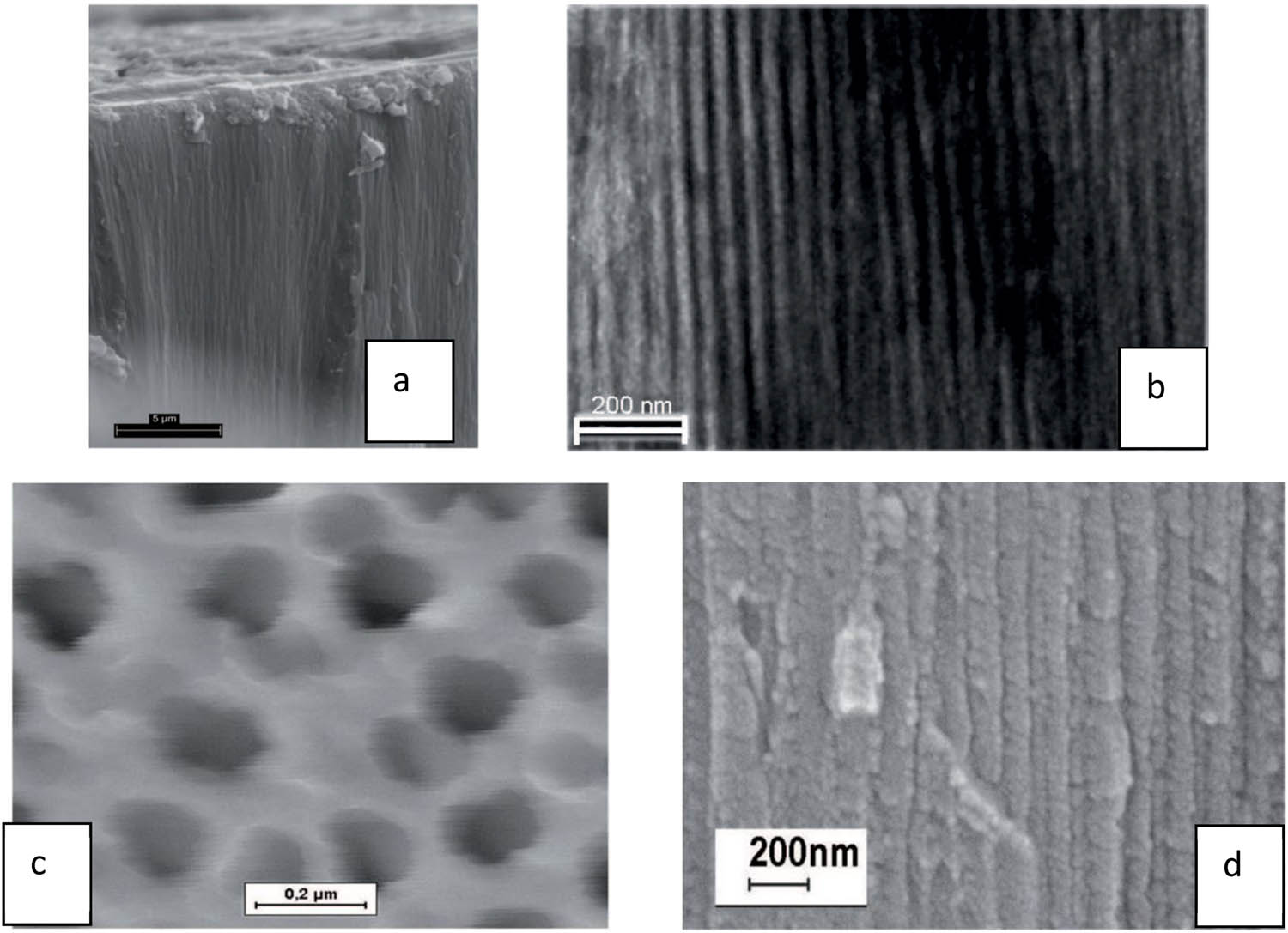 Figure 4 
                  AHC+GC-composite layer: (a) fresh structure by SEM, (b) picture of nanopores filled with glassy carbon as a solid lubricant by HR-TEM, (c) surface nanopores view by SEM, and (d) fresh structure by SEM [207] (courtesy of Journals PAS).
               