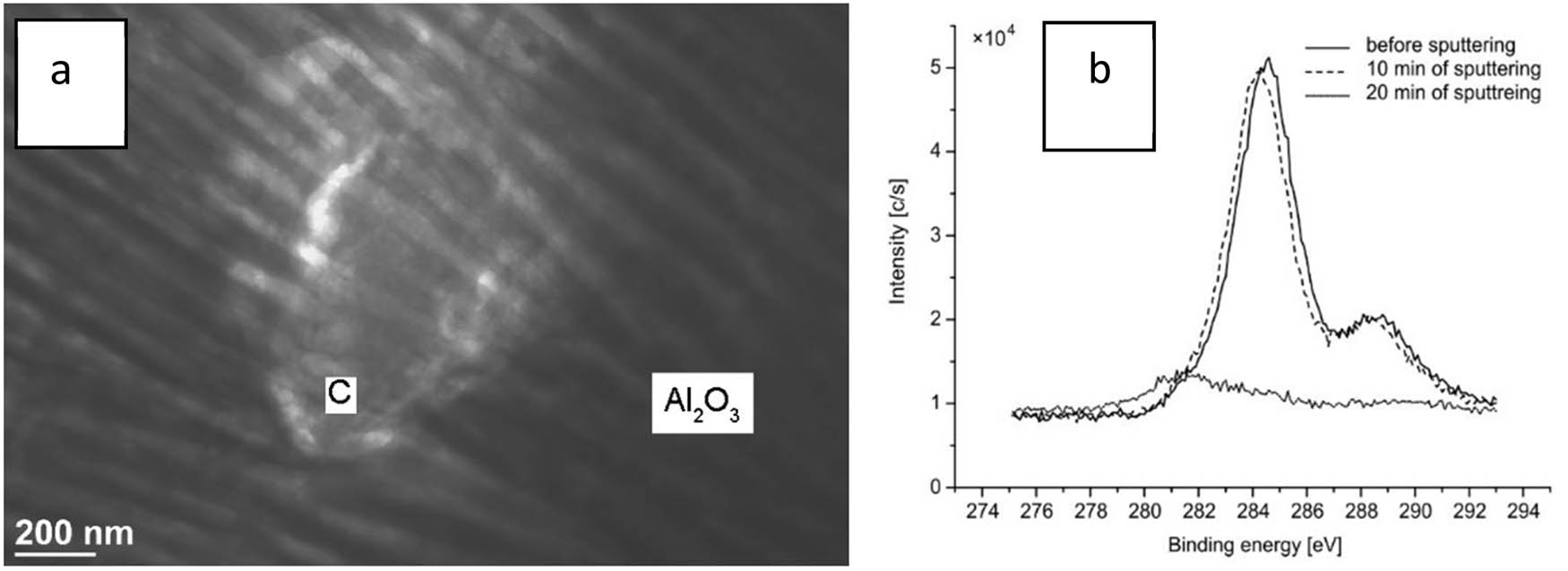 Figure 5 
                  (a) Microstructure and (b) XPS spectra of a composite layer carbonized for 36 h [212] (courtesy of Journals PAS).
               