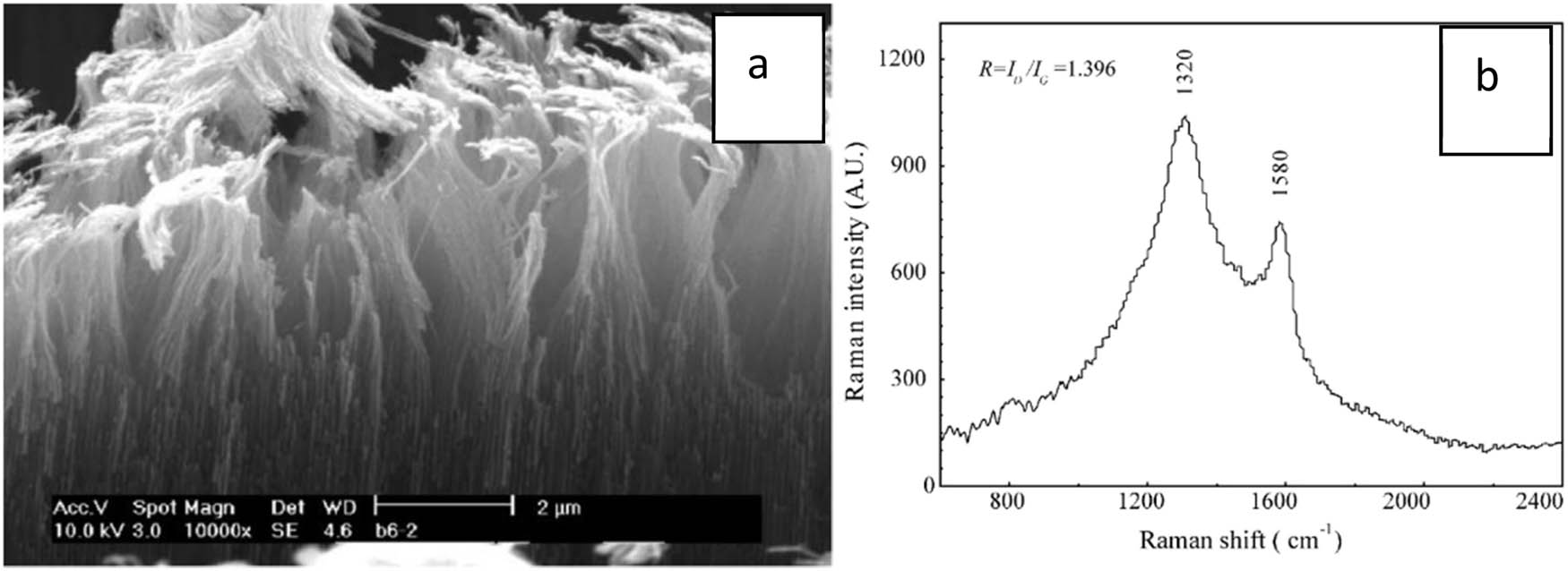 Figure 8 
                  SEM image of carbon nanorod arrays embedded in the porous AAO membrane (a) and Raman spectrum of amorphous carbon (b) (Reprinted from [216], with permission from Elsevier).
               