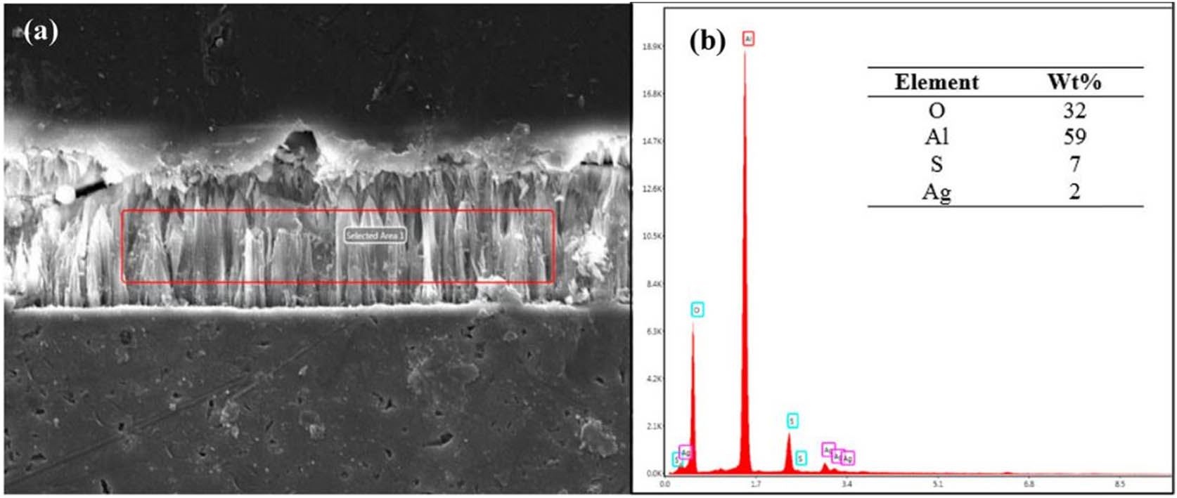 Figure 10 
                  (a) SEM image and (b) EDS spectra of composite anodic film + Ag [221] (copyright © Institute of Materials, Minerals and Mining, reprinted by permission of Taylor & Francis Ltd).
               