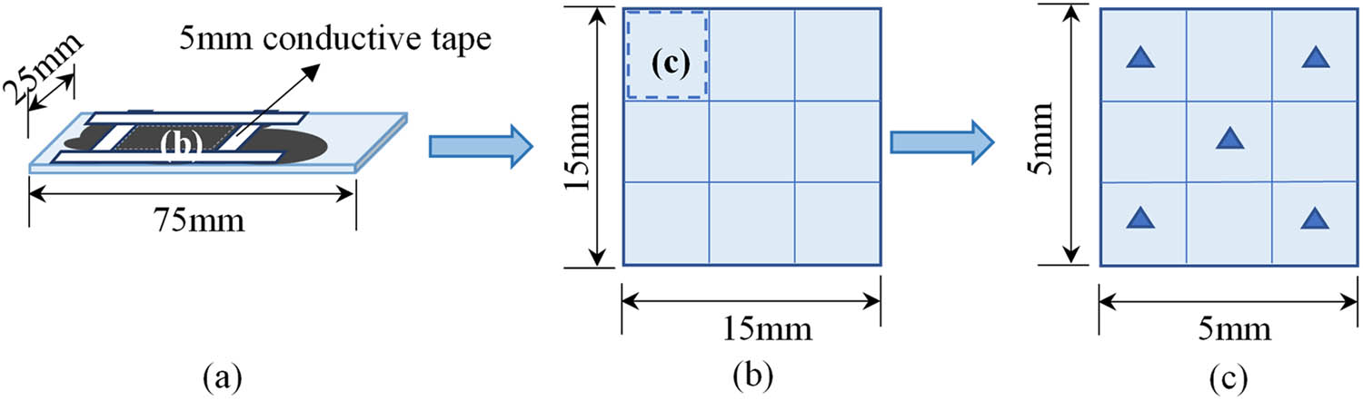Figure 2
The selection process of the detection area. (a) Selection of scanning area, (b) macroscopic division of scanning area, and (c) microscopic division of scanning area.