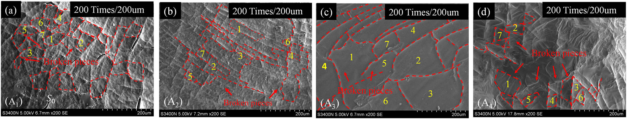 Figure 13
The selection of network structure areas: (a) A
1-152.5 h, (b) A
2-228 h, (c) A
3-305 h, and (d) A
4-305 h.