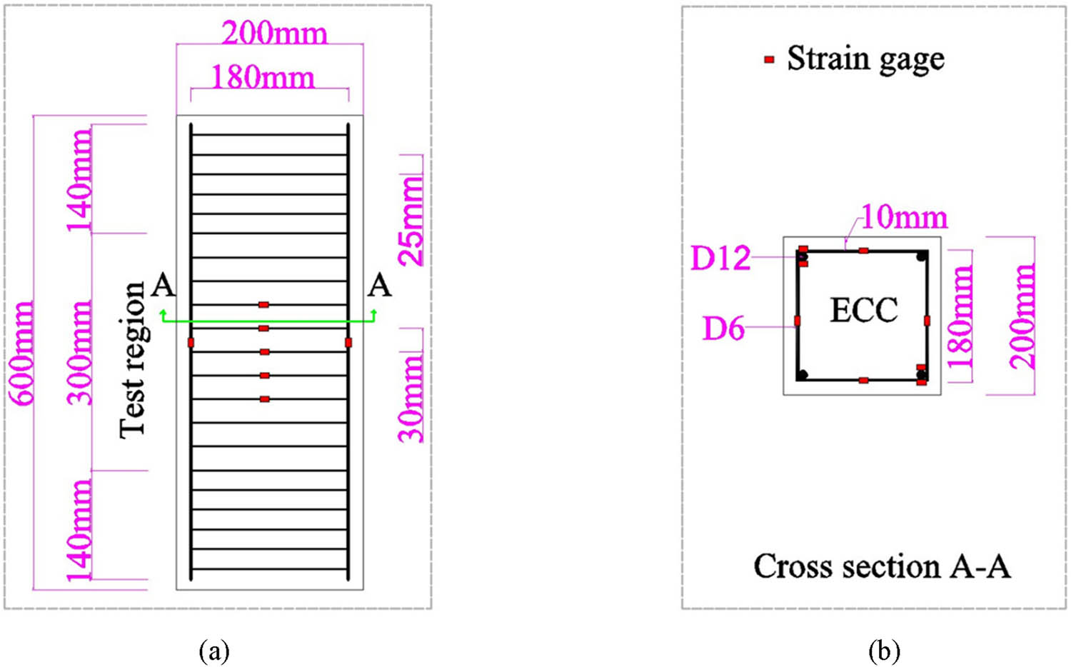 Figure 5
Dimensions of stub column: (a) elevation dimension and (b) cross-section dimension and strain gauge locations.
