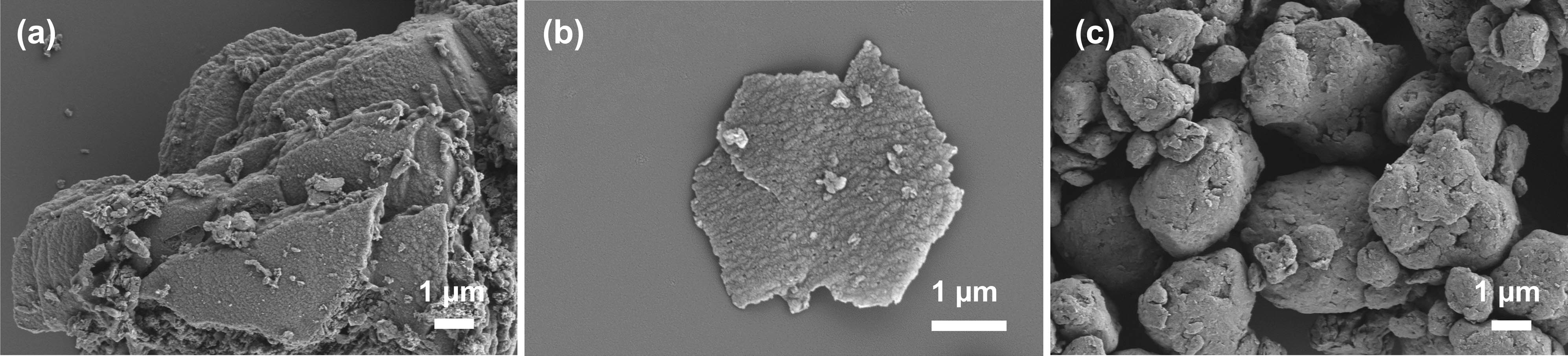 Figure 3
SEM images of the prepared samples: (a) CN, (b) ICN, and (c) MCN.