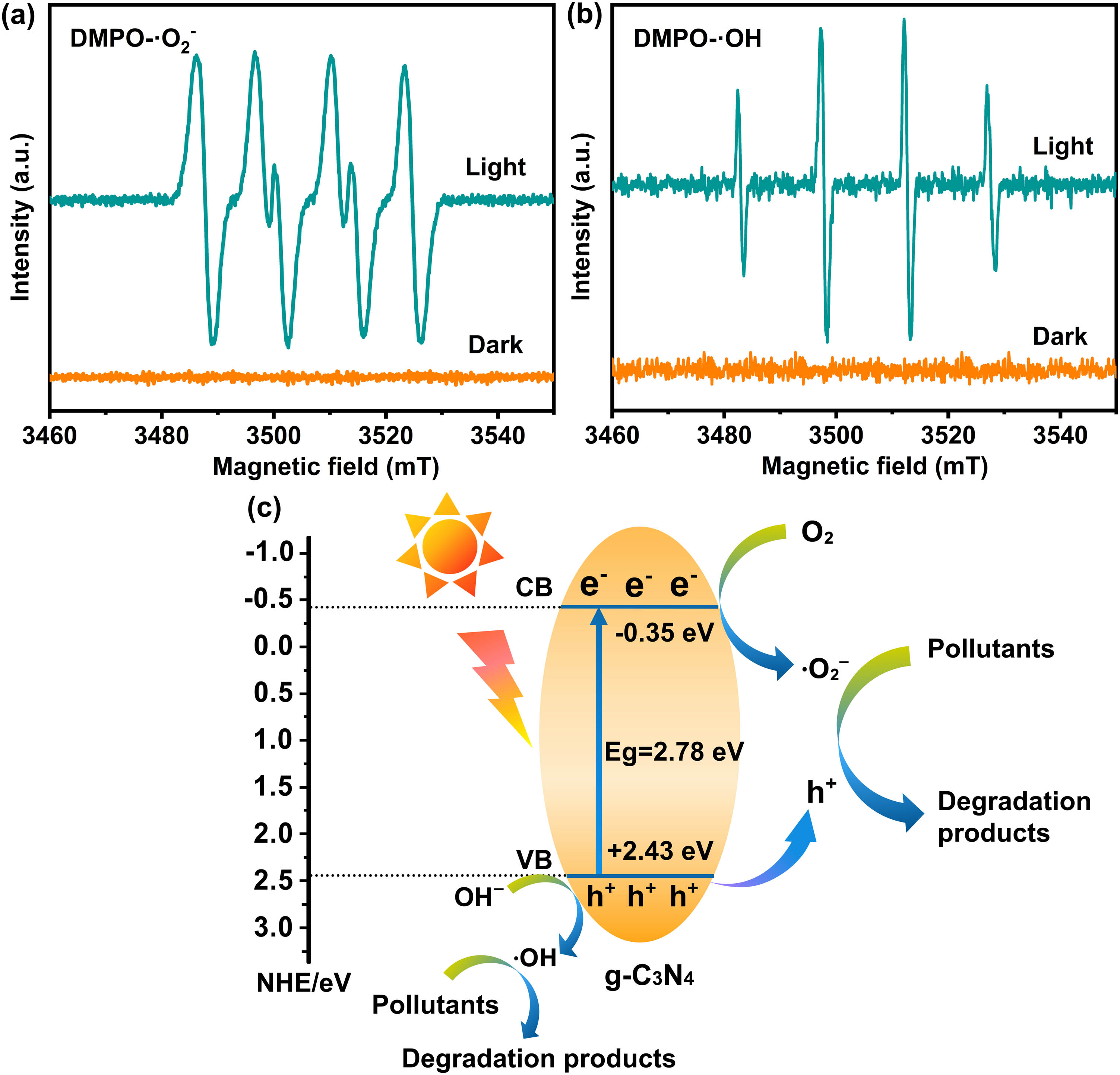 Figure 14
ESR spectra of (a) DMPO-˙
O
2
‒
{\text{O}}_{2}^{‒}
and (b) DMPO-˙OH for ICN under dark and light irradiation; (c) schematic of the photocatalytic reaction mechanism of organic pollutants.
