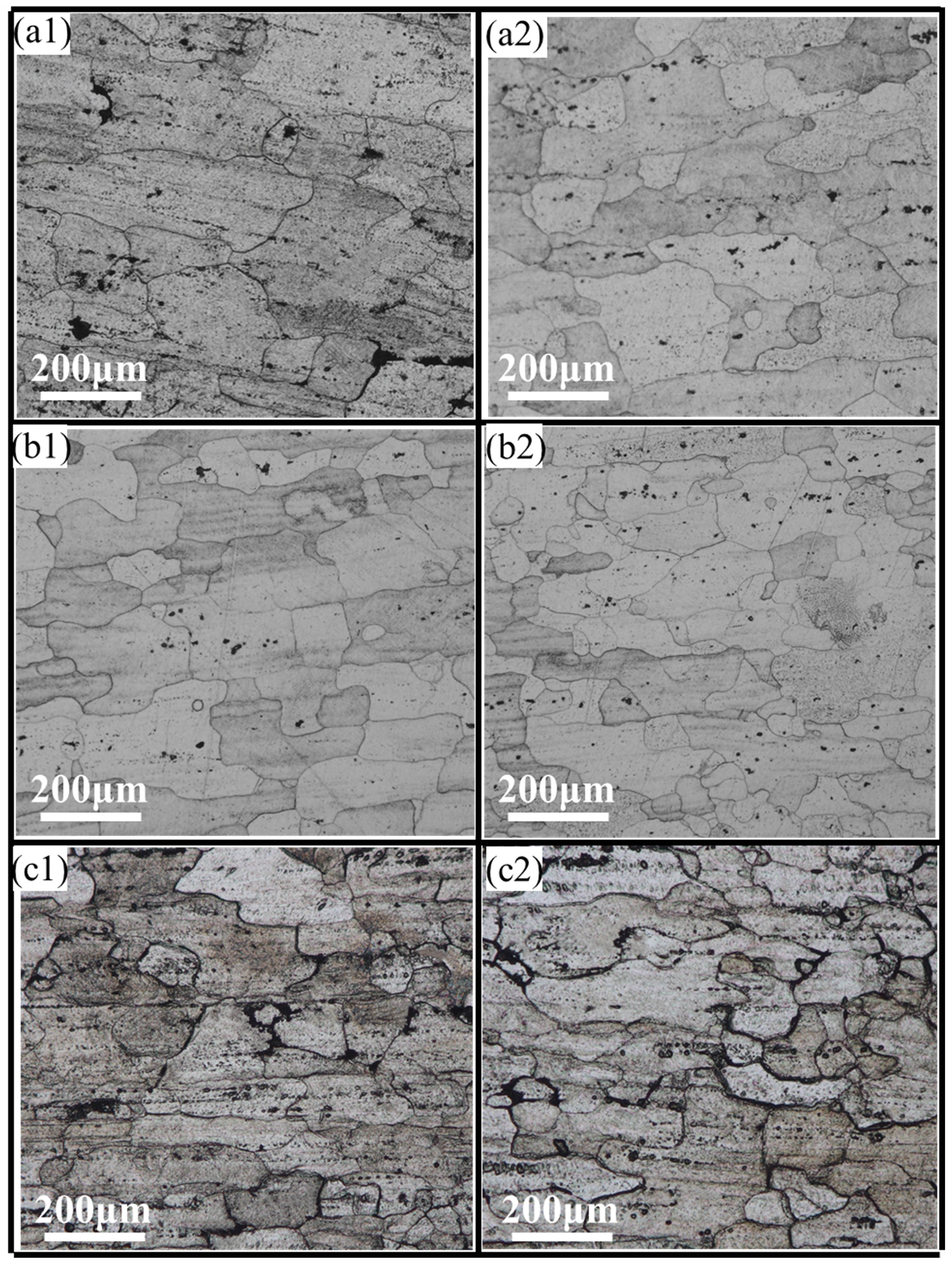 Figure 6
Grain structures of the sample under different cold deformations. (a1), (b1), and (c1) Longitudinal (core) grain structures in the absence of deformation, in the presence of CR, and cold compression, respectively. (a2), (b2), and (c2) Longitudinal (peripherally) grain structures in the absence of deformation, in the presence of CR, and cold compression, respectively.